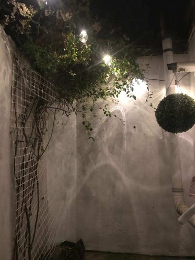 Others 3, Charming 2 Bedroom Cottage in Central Location, Dublin
