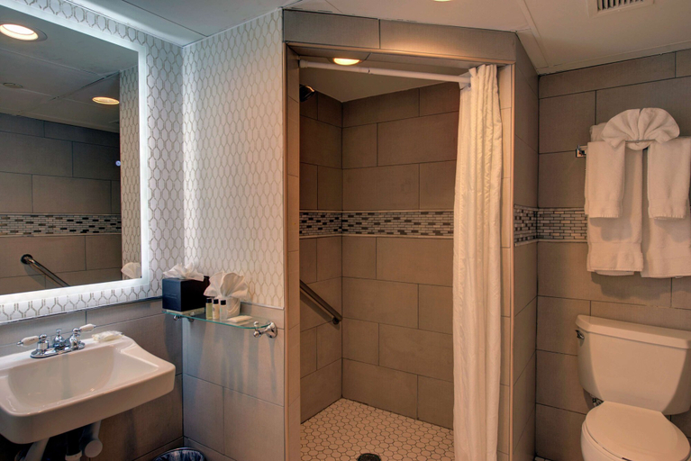 Bathroom 4, The Roslyn, Tapestry Collection by Hilton, Nassau
