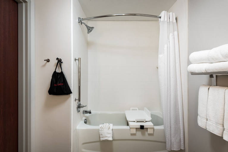 Bathroom 4, Holiday Inn Express & Suites BARTOW by IHG, Polk