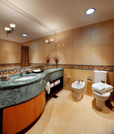 Bathroom 5, Grand Hyatt Residence, Dubai
