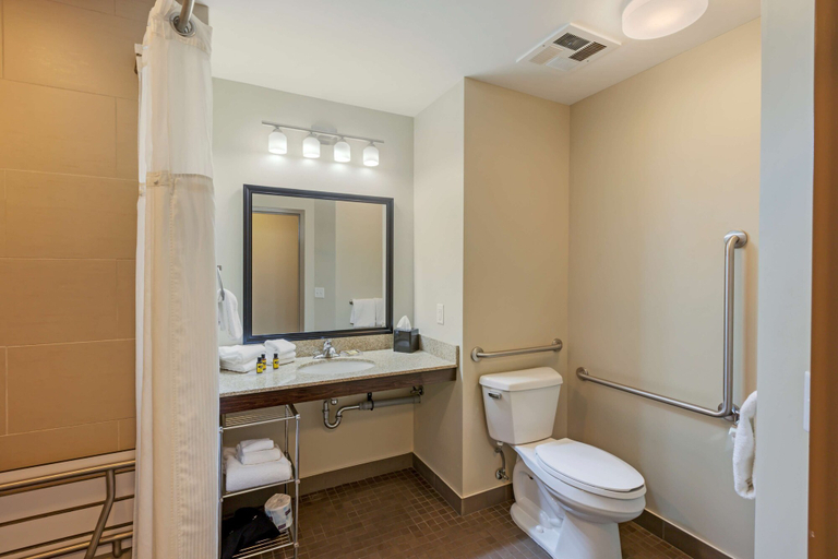 Bathroom 4, Best Western Plus Walkerton Hotel & Conference Cen, Bruce
