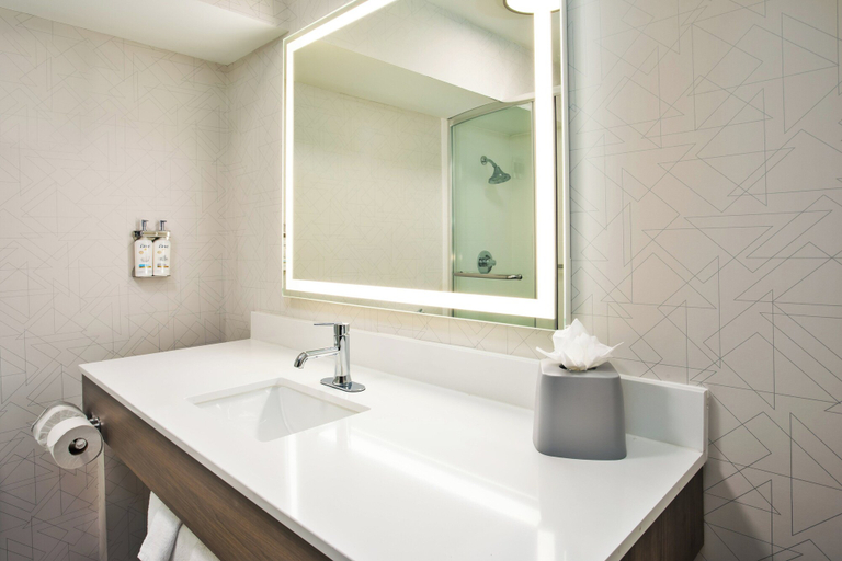 Bathroom 4, Holiday Inn Express FLAGSTAFF by IHG, Coconino
