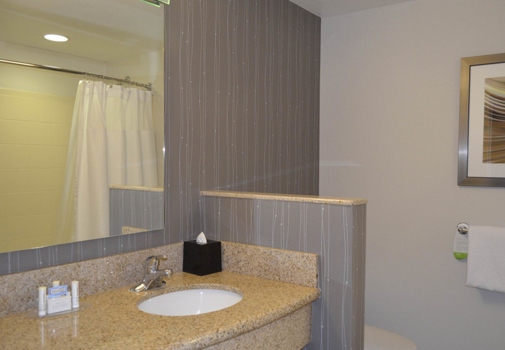 Bathroom 5, Courtyard by Marriott Winchester, Frederick
