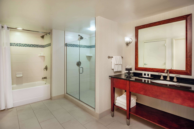 Bathroom 4, Embassy Suites by Hilton Boston Waltham, Middlesex