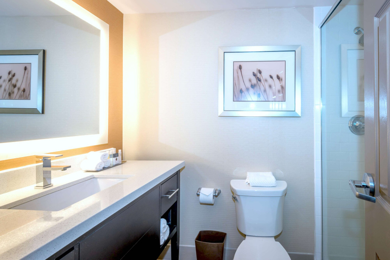 Bathroom 4, Doubletree by Hilton Hotel Montgomery Downtown, Montgomery