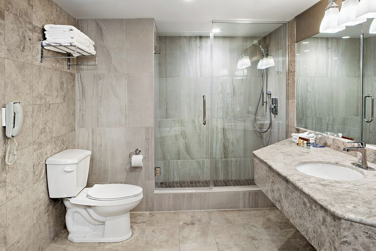 Bathroom 5, Sheraton Laval Hotel, Laval