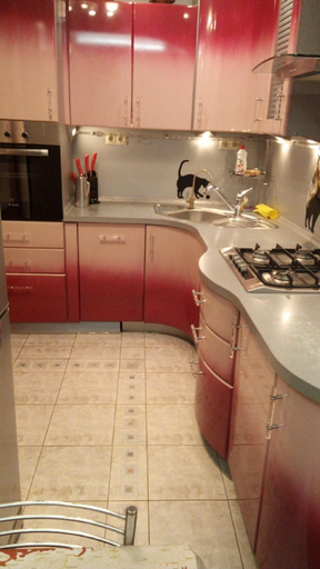 Others 3, Apartment on 4 Vyatskii Pereulok, Northern