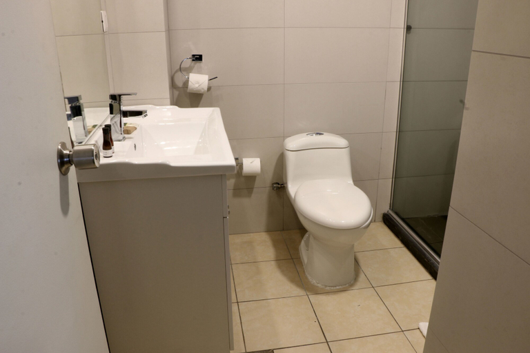 Bathroom 5, Hotel Plaza Ñuñoa, Cordillera