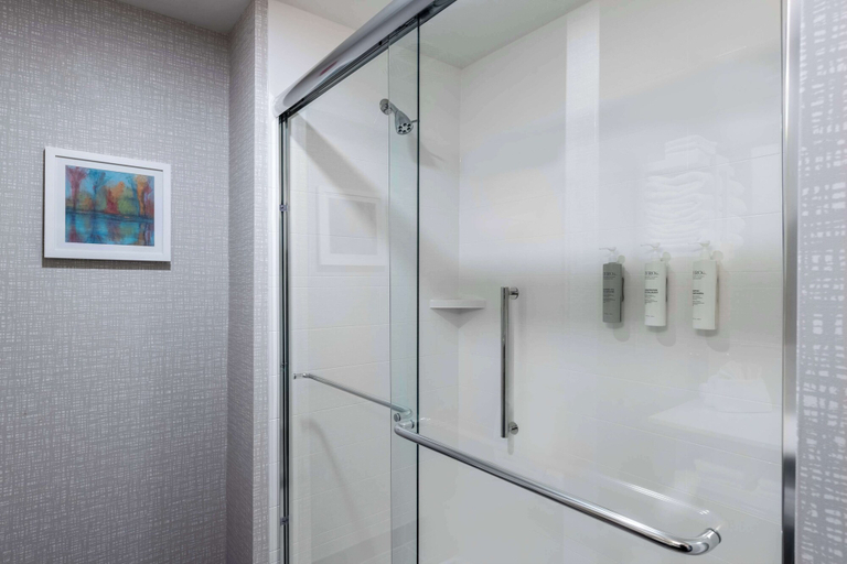 Bathroom 4, Hampton Inn Columbus Downtown, GA, Muscogee