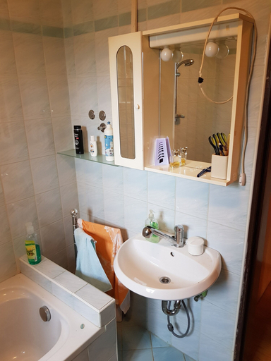 Bathroom, Macesen, Kranjska Gora