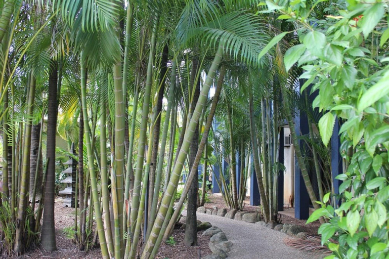 Scenery 6