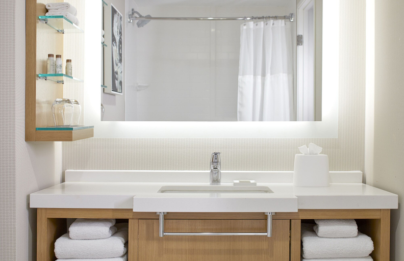 Bathroom 4, Renaissance Chicago Glenview Suites Hotel, Cook
