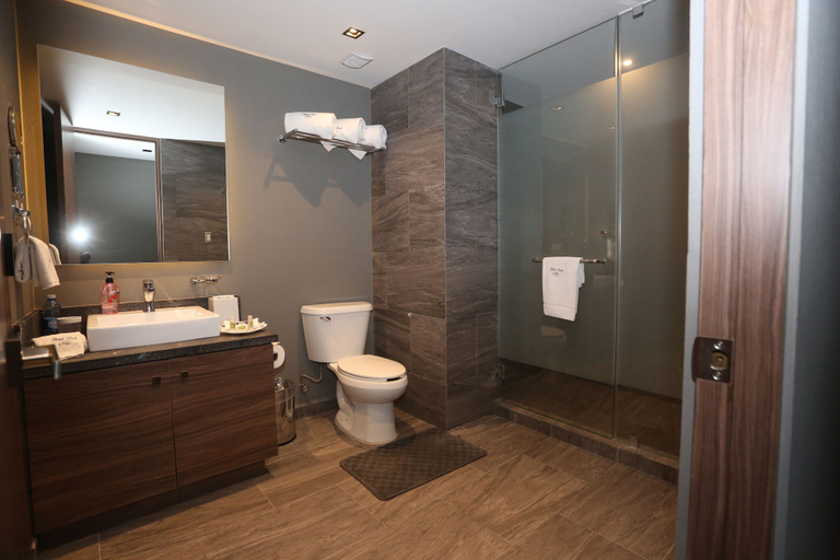 Bathroom 4, Hotel Park Nilo Reforma, Mexico City