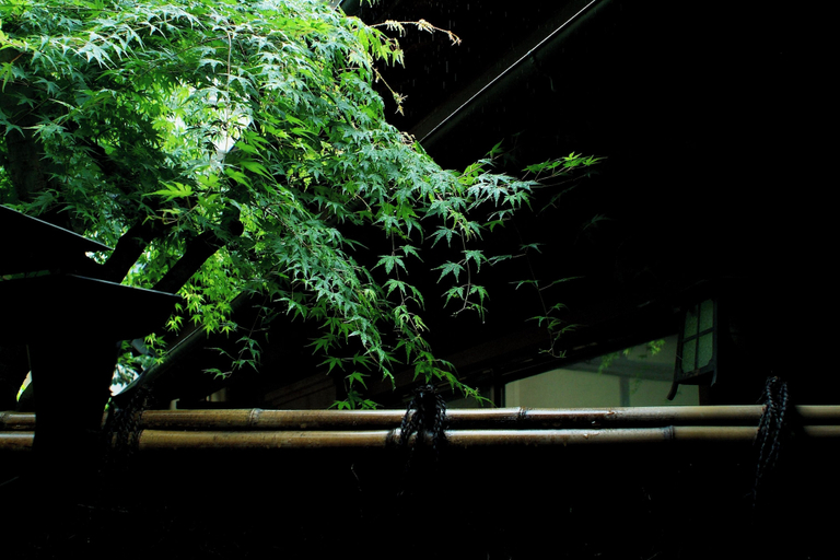 Exterior & Views 2, Tousin-an Komeya, Itō