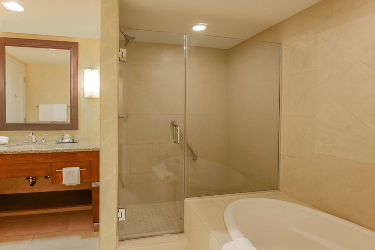 Bathroom 4, Hilton Branson Convention Center, Taney
