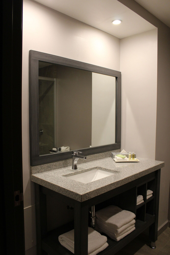 Bathroom 5, La Quinta by Wyndham Aguascalientes, Aguascalientes