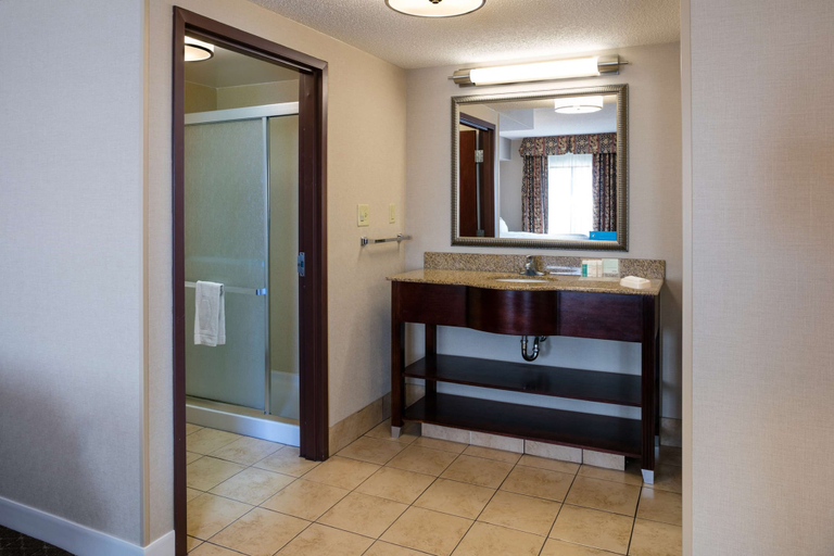 Bathroom 5, Hampton Inn & Suites Toledo-Perrysburg, Wood