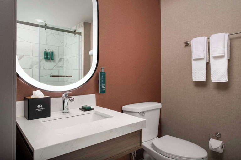 Bathroom 4, Doubletree by Hilton Chattanooga Hamilton Place, Hamilton