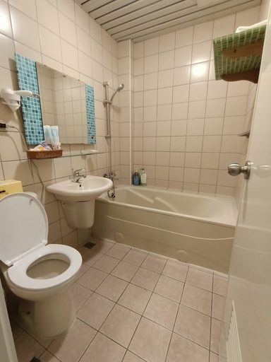 Bathroom, Shuili Heti, Nantou