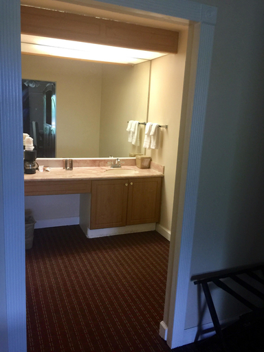 Bathroom 5, Grand Palms Spa & Golf Resort, Broward