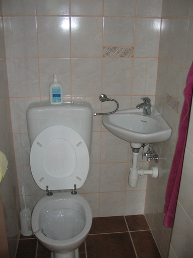 Bathroom 3, Sunny Holiday House B&B, Gornji Grad