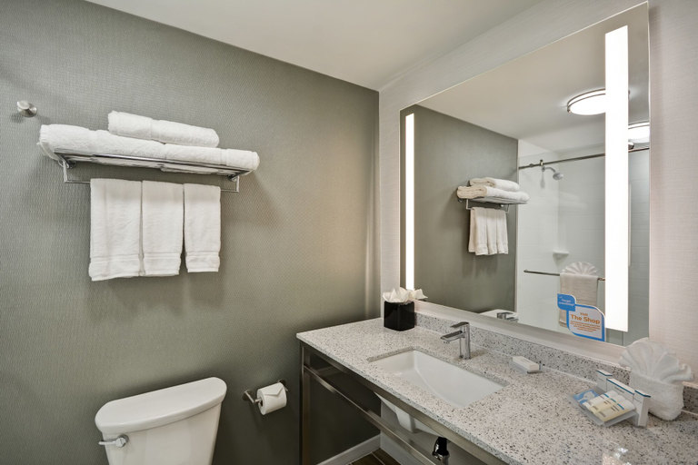 Bathroom 4, Hilton Garden Inn Gastonia, Gaston