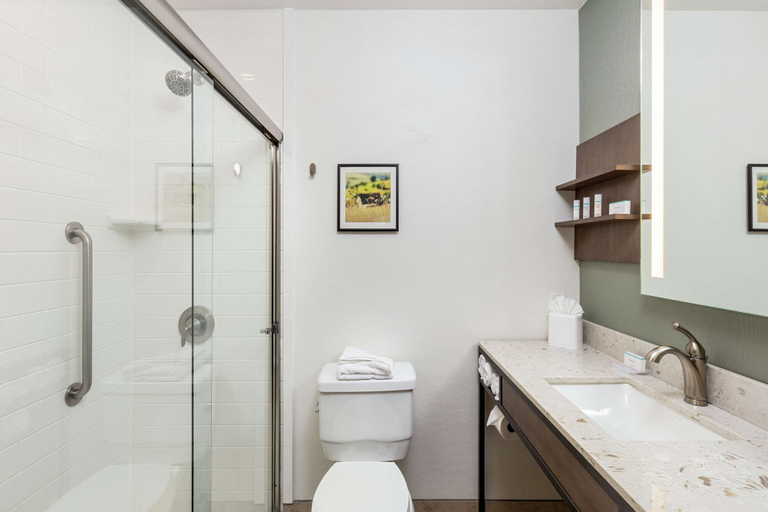 Bathroom 4, Hilton Garden Inn Davis Downtown, Yolo