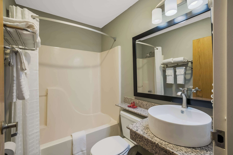 Bathroom 4, SureStay Plus Hotel by Best Western Sevierville, Sevier