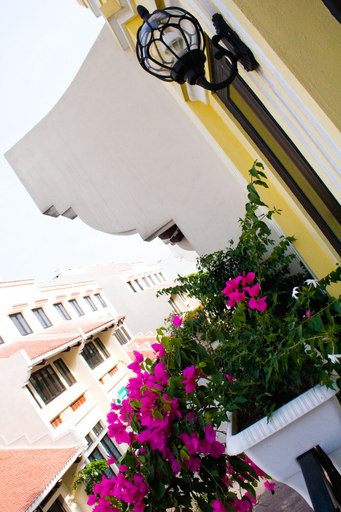 Exterior & Views, Maxshare Hotels & Serviced Apartments, Hạ Long