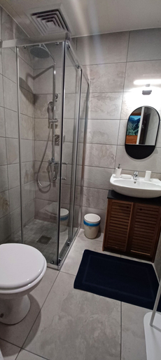 Bathroom 2, Alicalapa-Tenon Clement, Le Tampon
