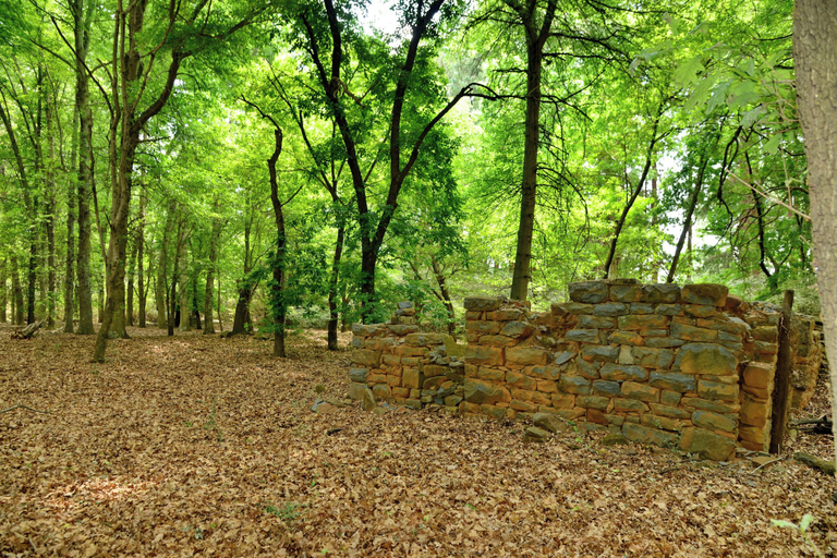 Others 5, Dunkeld East, Nkangala