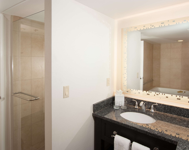 Bathroom 4, Embassy Suites by Hilton Raleigh Crabtree, Wake