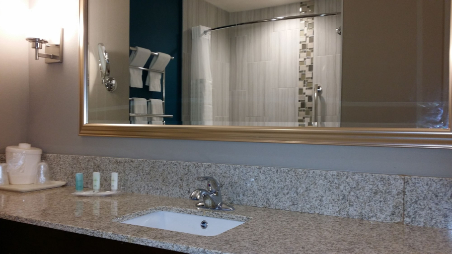 Bathroom 4, Comfort Suites Las Cruces I-25 North, Dona Ana
