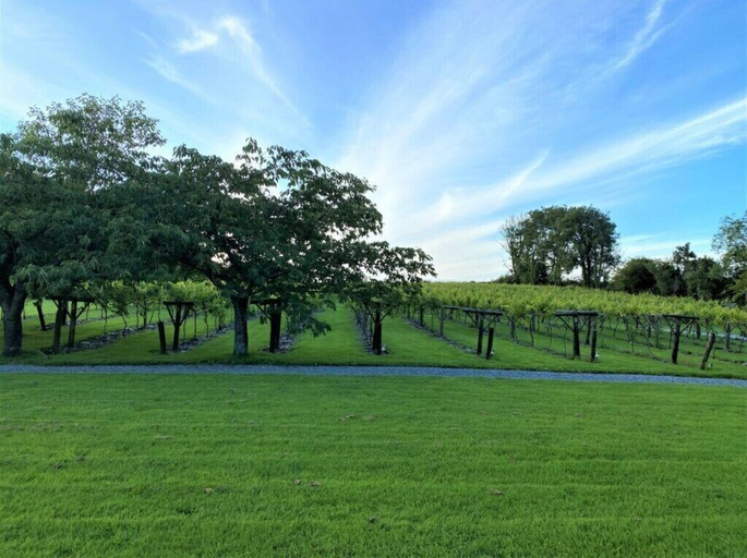 Others 5, Jabajak Vineyard Restaurant With Rooms, Carmarthenshire