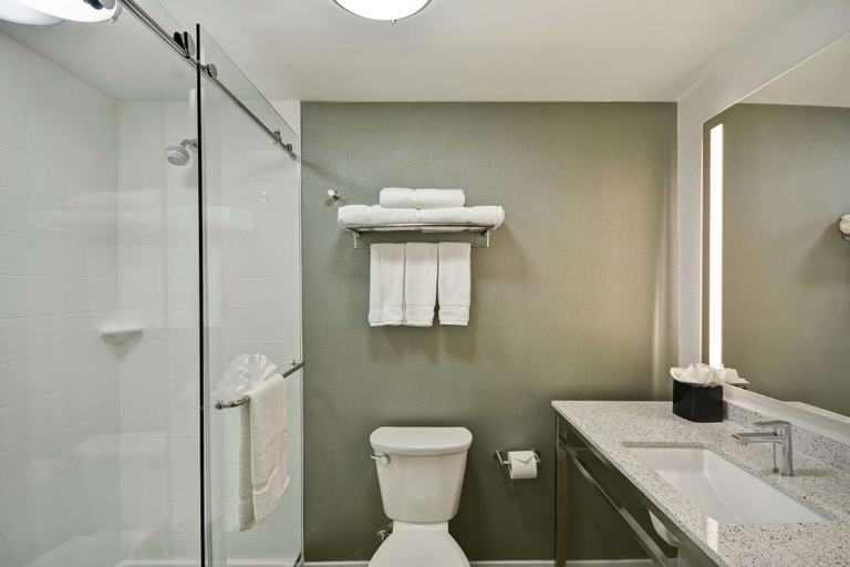 Bathroom 4, Hilton Garden Inn Gastonia, Gaston