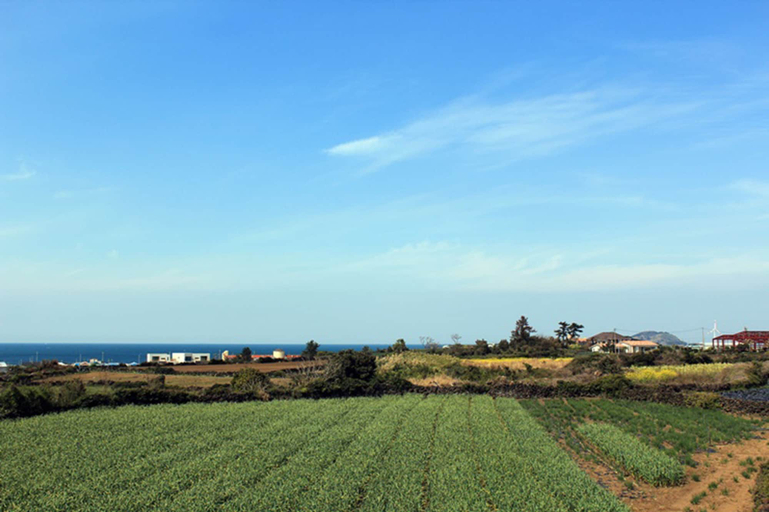 Others 5, Sunny Panpo, Jeju
