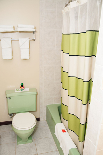 Bathroom 4, Red Carpet Inn & Suites, Grafton