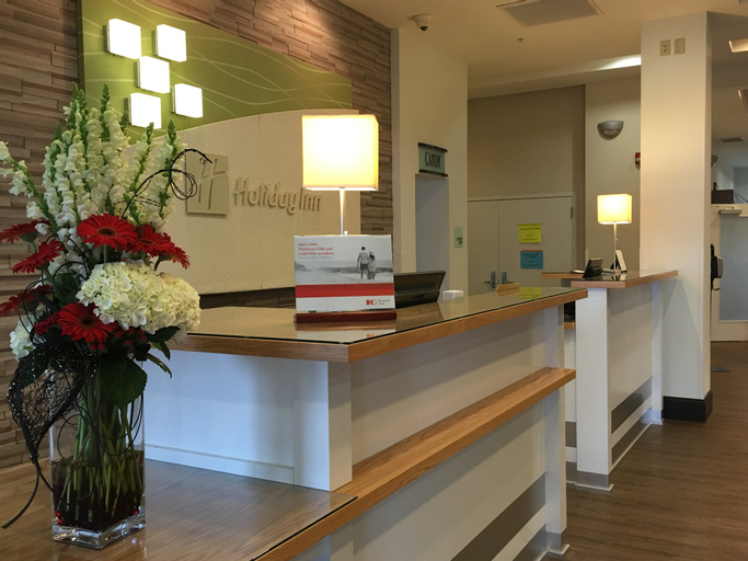 Public Area 3, Holiday Inn & Suites BLOOMINGTON-AIRPORT, McLean