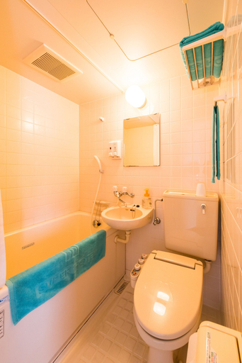 Bathroom 4, Super Hotel Ishigakijima, Ishigaki