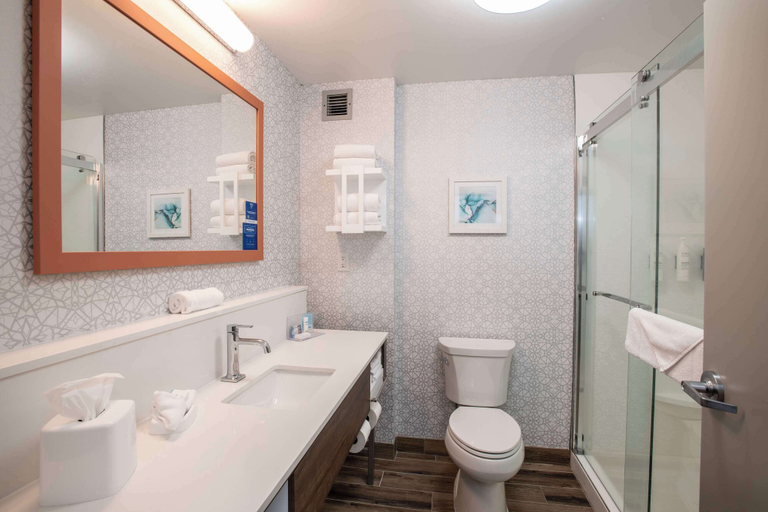 Bathroom 3, Hampton Inn Dry Ridge, Grant