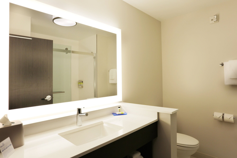Bathroom 4, Holiday Inn Express ONEONTA by IHG, Otsego