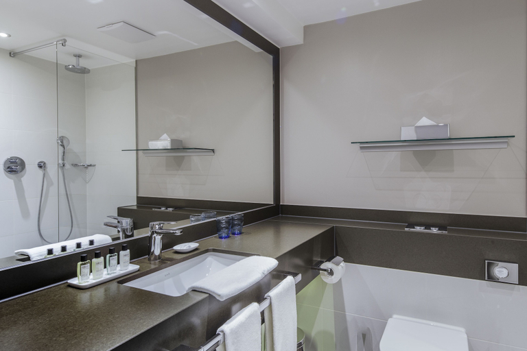 Bathroom 5, The Alex Hotel, Freiburg im Breisgau