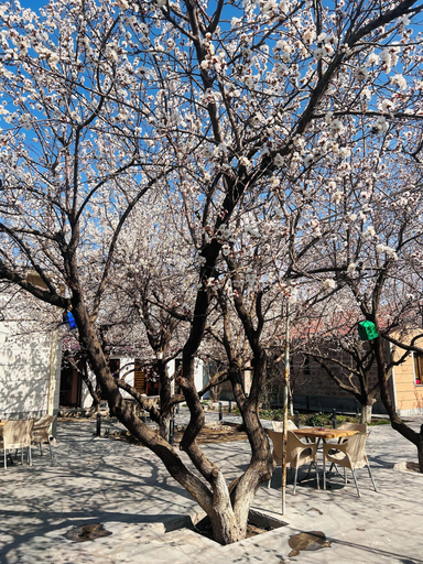 Exterior & Views, MarNar Hotel, Yerevan