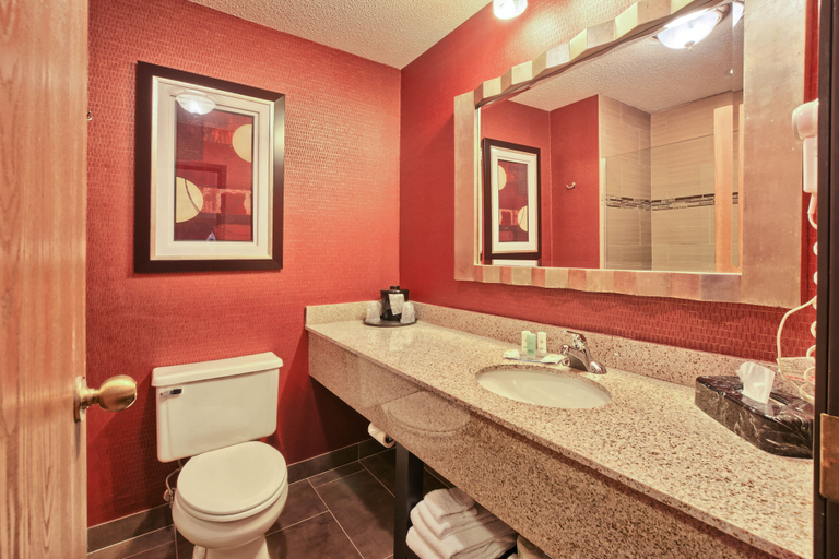 Bathroom 4, Comfort Inn & Suites and Conference Center, Isabella