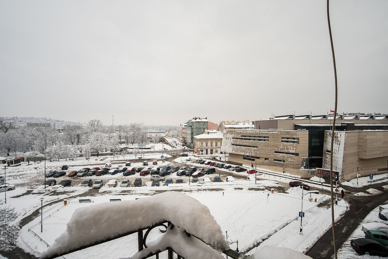 Others 4, HOSTEL likeHome, Przemyśl City
