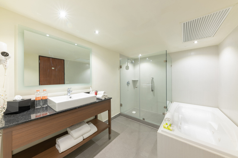 Bathroom 5, Holiday Inn GUADALAJARA EXPO by IHG, Zapopan