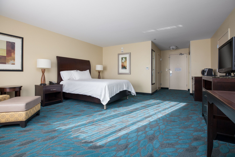 Bedroom 4, Hilton Garden Inn Fargo, Cass