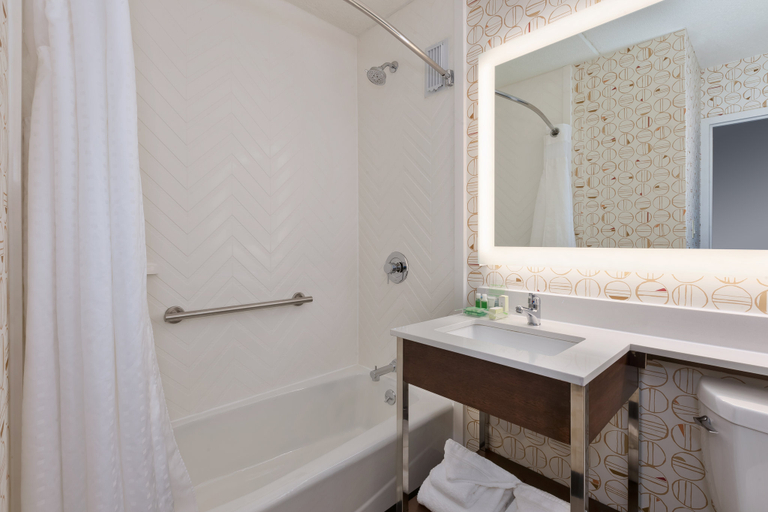 Bathroom 4, Holiday Inn WESTBURY-LONG ISLAND by IHG, Nassau