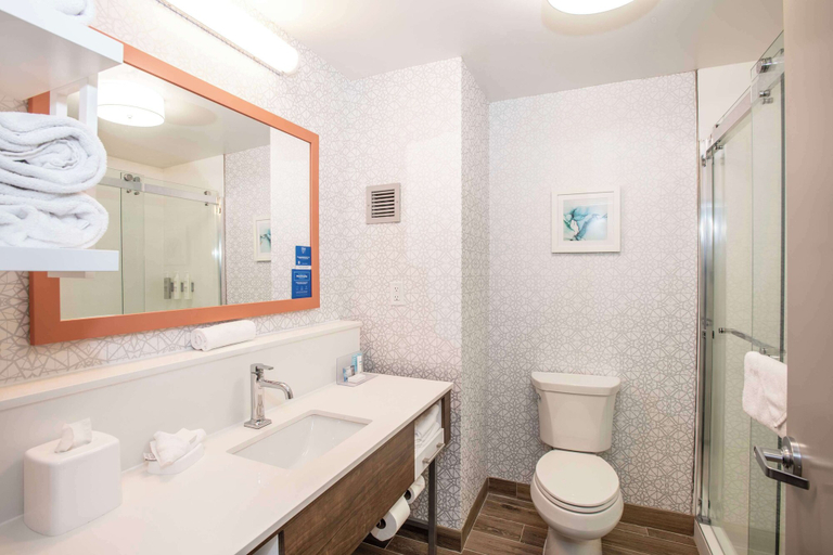 Bathroom 3, Hampton Inn Dry Ridge, Grant