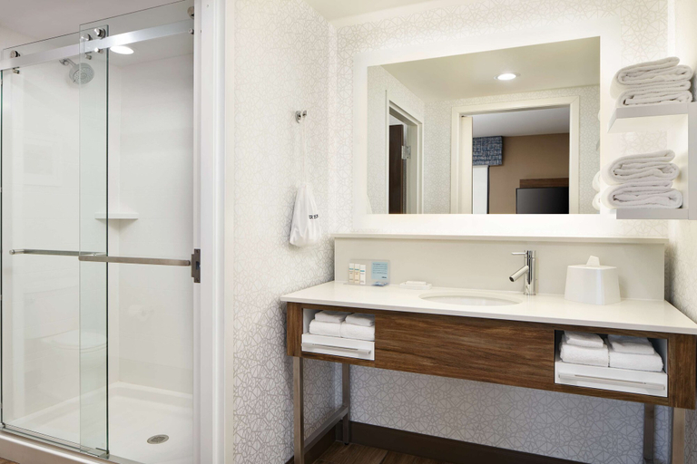 Bathroom 4, Hampton Inn Clewiston, Hendry